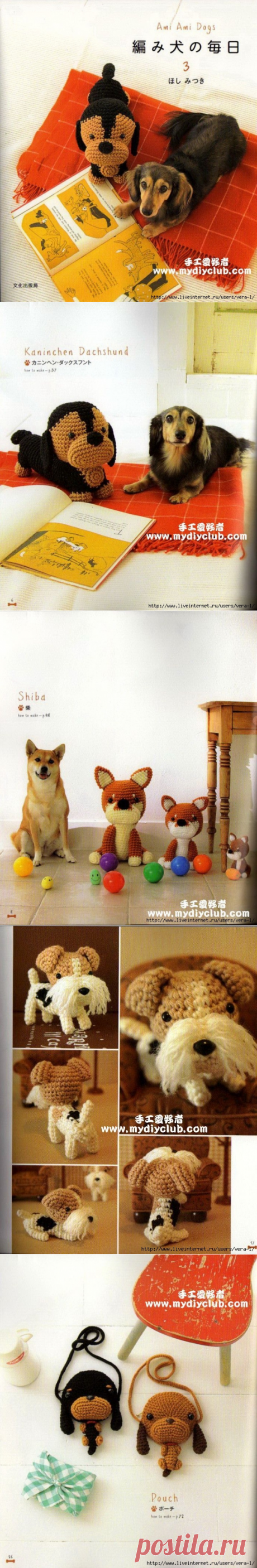 Ami Ami Dogs 3