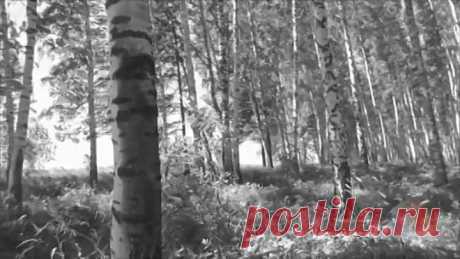 Сборник задушевных советских песен