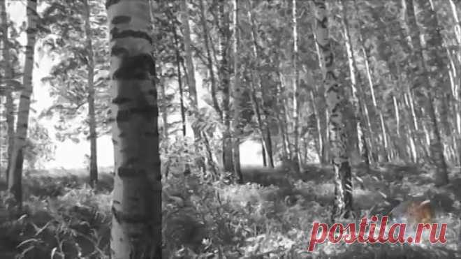 Сборник задушевных советских песен