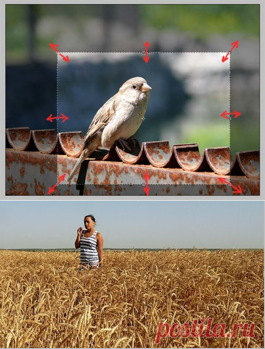 Кадрирование в Фотошопе