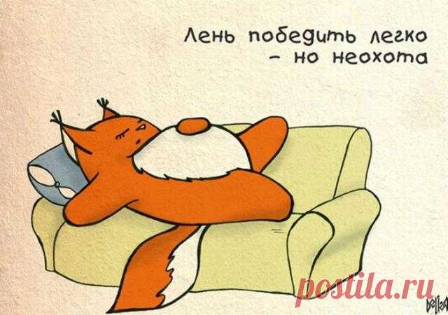 Прикольные комиксы про белку Крошку Ши / Интересное / Развлекательный блог