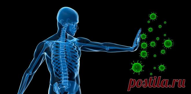 Поторопитесь! Эта статья будет удалена из Интернета поскольку этот напиток действительно очищает печень и укрепляет иммунную систему!