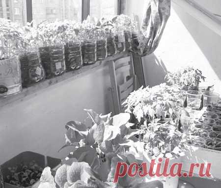 Одноклассники