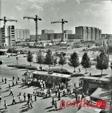 БРАГИНО
Ирина Иванова