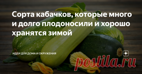 Сорта кабачков, которые много и долго плодоносили и хорошо хранятся зимой