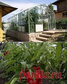 Теплицы из поликарбоната своими руками.. Сохраните любой пост с сайта 7dach.ru в Постиле и выиграйте призы от интернет-магазина Клуб Красоты. Чем больше постов - тем выше шансы. Розыгрыш состоится в понедельник, 30 января. В акции участвуют все посты, которые содержат этот текст или фото призов!