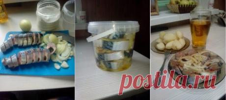 Сначала я порезала рыбу...что получилось произвело настоящий фурор