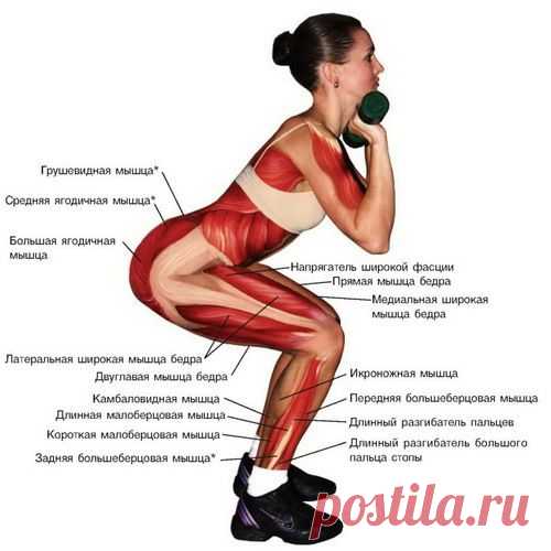 Упражнения для ног и ягодиц