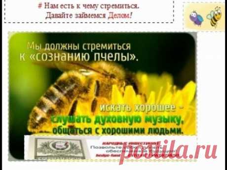 9 правил,которые все меняют!(Инструктаж партнера Хедж фонда)