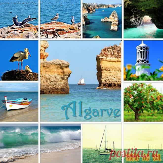 O Meu Algarve Oh mar, oh sol, oh noites transparentes, Campos a burbulhar a seiva que os invade, Horizontes sem mancha, alvoradas ardentes, Olhos frescos de amor ensinando a saudade, Eu amo a vossa cor, o vosso brilho forte, A fecunda alegria que de vós se evapor...