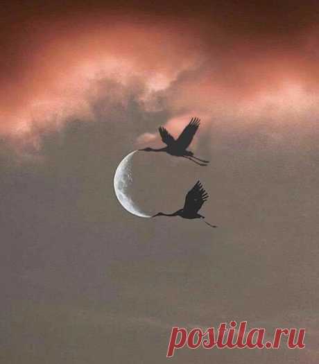 Здоровье и Красота ღ