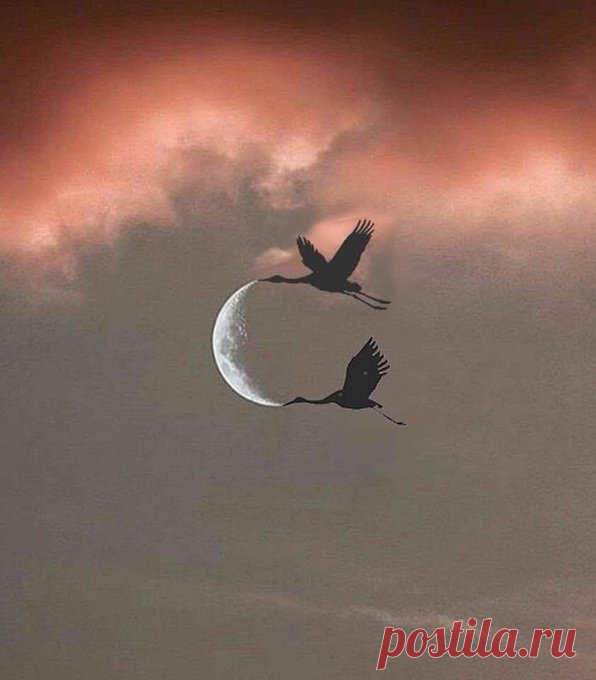Здоровье и Красота ღ