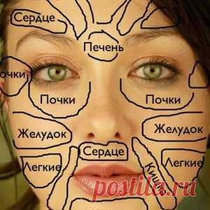 Китайцы считают, что лицо может четко показать, где случился сбой в организме