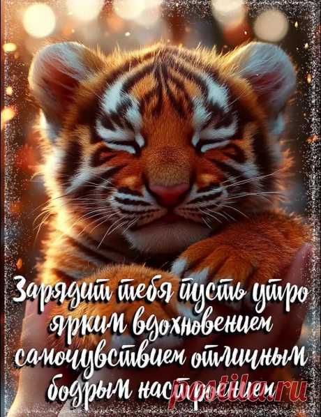 Прикольная картинка доброе утро с пожеланием