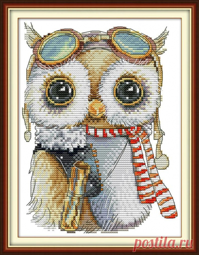 2 Funny Owl Cross Stitch Kits Modern Owl Embroidery Kits with | Etsy