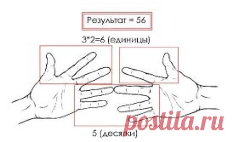 Ты не сможешь простить своих учителей за то, что они не показали тебе эти 10 математических трюков!
Если ты плохо знаешь математику — это не твоя вина, тебя просто не научили в школе этим математическим трюкам.
Очень жаль, что их не встретишь на обычных уроках математики, ведь с такими хитростями любые расчеты становятся элементарными. Ты легко сможешь считать в уме, зная эти гениальные секреты!
Простые математические трюки