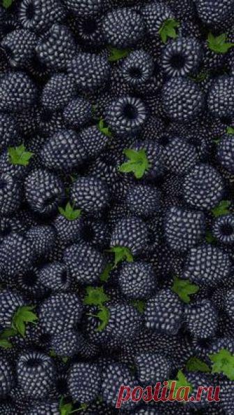 iPhone wallpapers обои