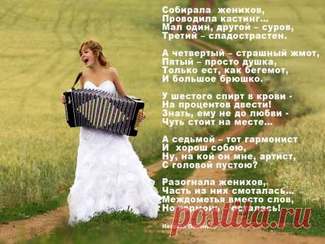 Выбирала женихов (Наталья Песенько) / Стихи.ру - национальный сервер современной поэзии