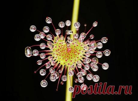 Мой Мир@Mail.Ru