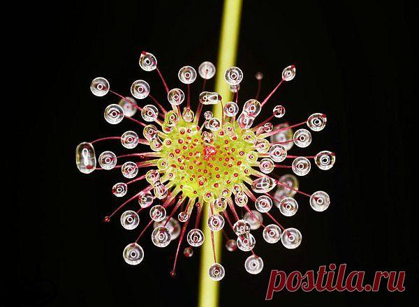 Мой Мир@Mail.Ru