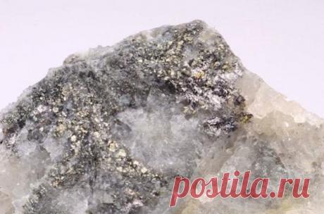 Неполезные ископаемые / Научный хит