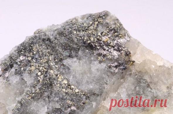 Неполезные ископаемые / Научный хит