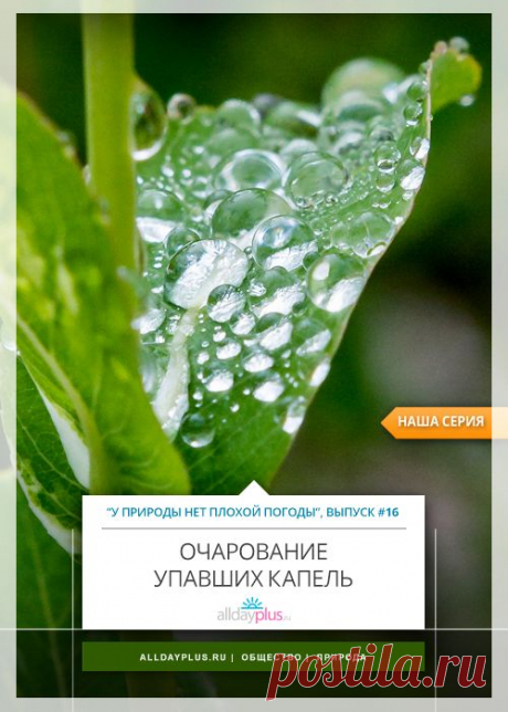 ALLDAYPLUS.RU