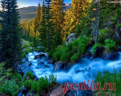 Живая природа во всей своей красе фото