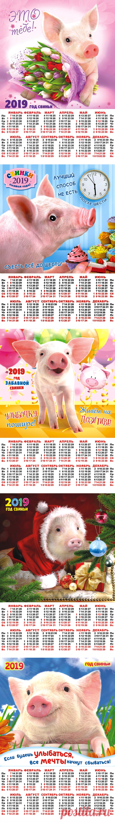 Символ 2019 года - СВИНЬЯ. Календари.