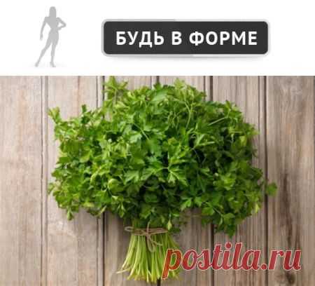 Зелень помогает похудеть без занятий спортом | Будь в форме!