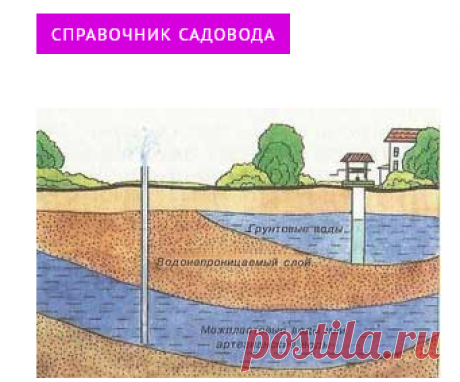 Какие растения можно вырастить на почвах с высокими грунтовыми водами| Полезные статьи на блоге Беккер