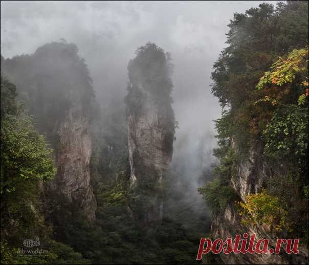 «Пандора» Национальный парк Чжанцзяцзе (Китай), напомнивший автору Михаилу Воробьёву земли вымышленной Пандоры из фантастической киноленты «Аватар». Другие работы фотографа можно полистать тут: nat-geo.ru/community/user/9757