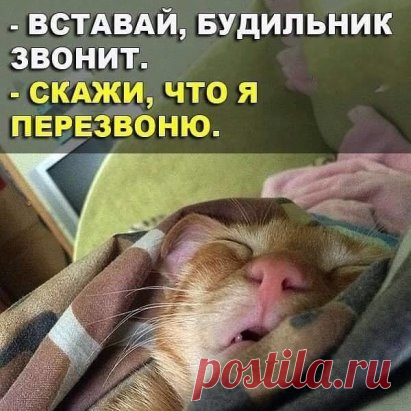 Доброе утро , страна !