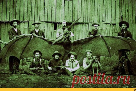 #загадкиистории@permakultur