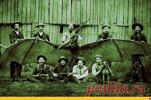 #загадкиистории@permakultur