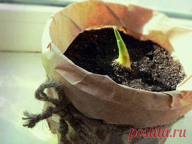 (93) Одноклассники