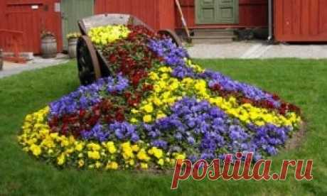 101 полезный совет на все случаи жизни для каждого - страница 5