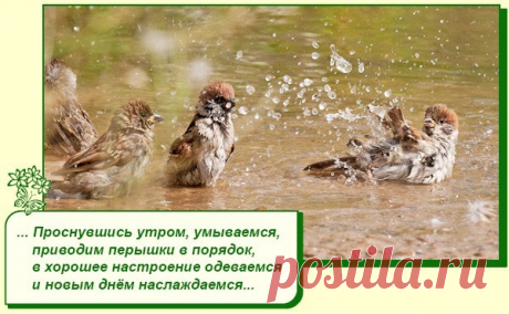 Хорошее настроение рядом