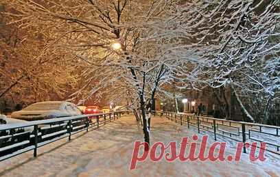 За два дня в Москве выпало 25 см снега