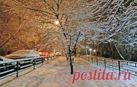 За два дня в Москве выпало 25 см снега