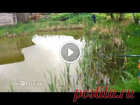 Ambush Fishing