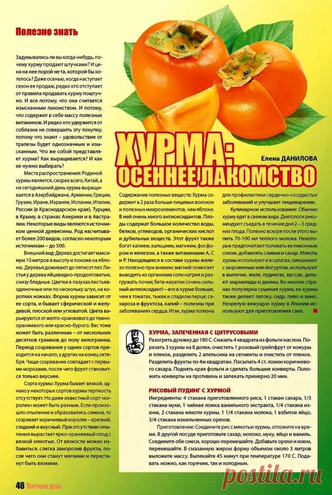 Хурма: осеннее лакомство