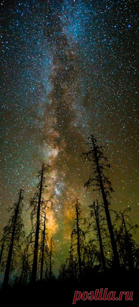 (20) Pinterest: инструмент для поиска и хранения интересных идей