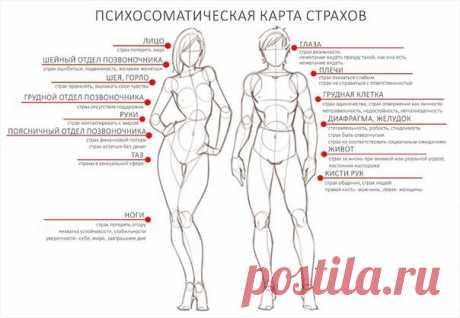 Телесная карта страхов Один из основных законов телесно-ориентированной психотерапии гласит: "Тело помнит всё". Воспоминания обо всем, что с нами произошло, хранятся в нашем теле, в том числе и о наших чувствах.