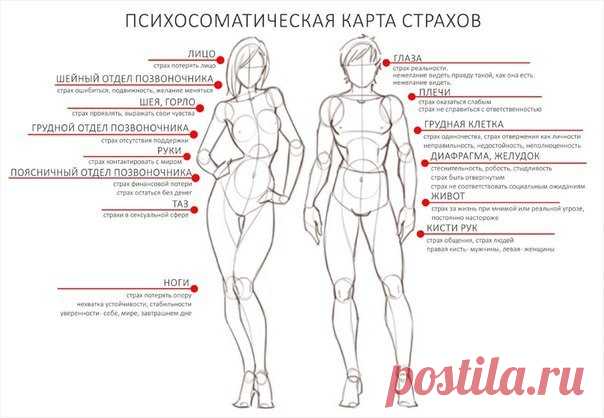 Телесная карта страхов Один из основных законов телесно-ориентированной психотерапии гласит: 