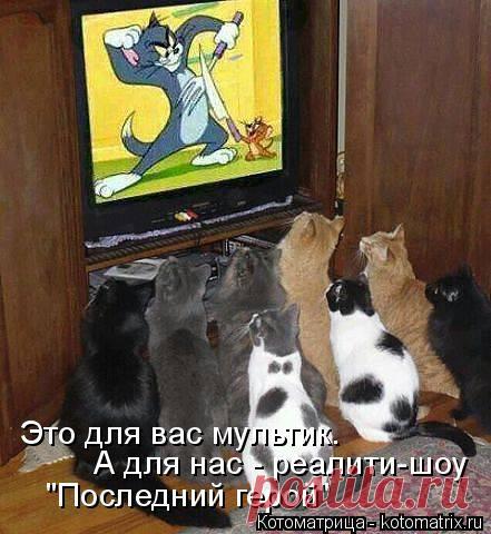 Котоматрица: Круть
