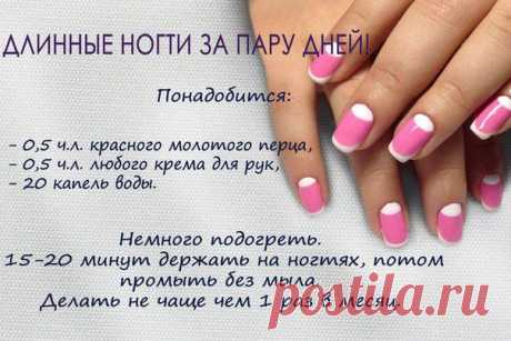 Екатерина Берлогина