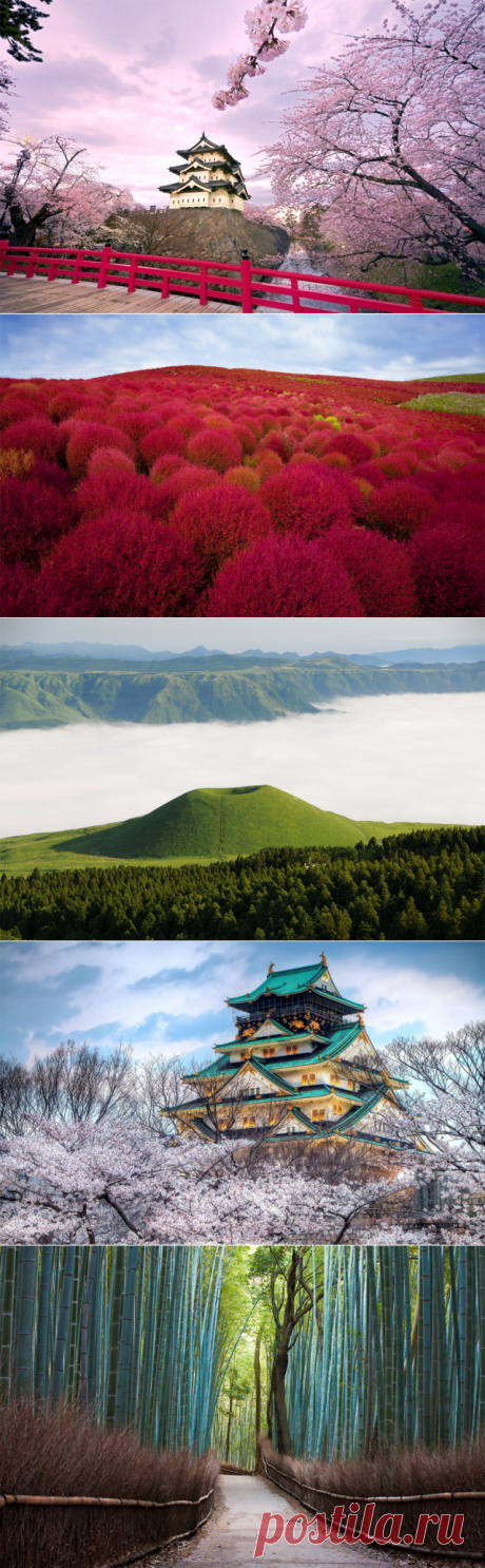 12 самых красивых фотографий Японии 

Подборка самых впечатляющих фотографий из страны восходящего солнца — Японии.