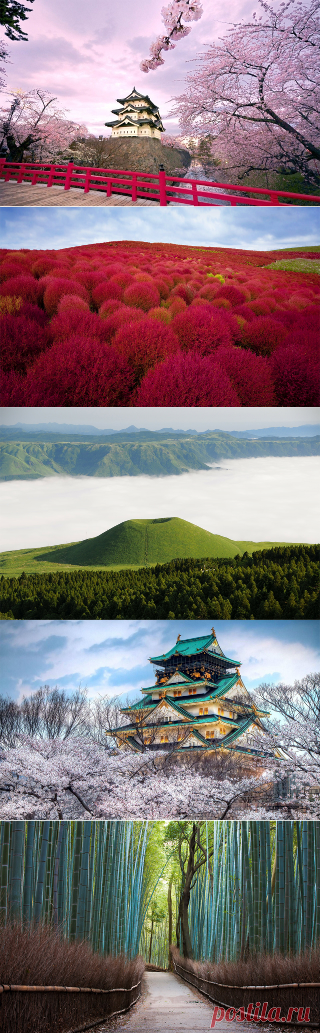 12 самых красивых фотографий Японии 

Подборка самых впечатляющих фотографий из страны восходящего солнца — Японии.