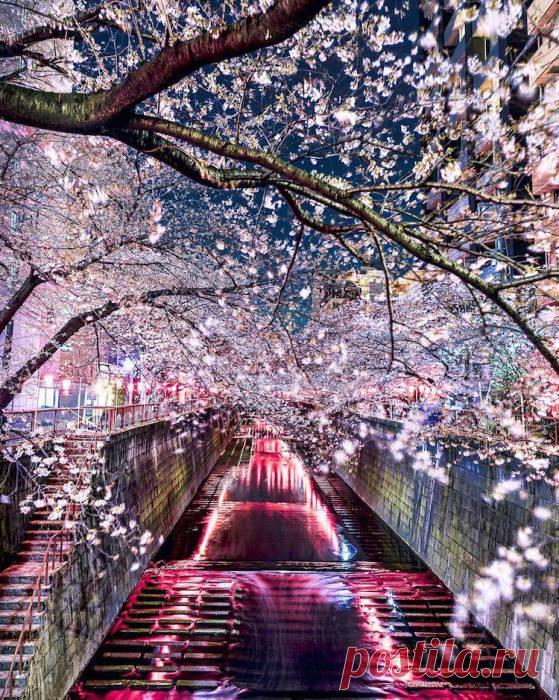 Утончённые японские пейзажи в объективе Такаси Комацубара Токийский фотограф Такаши Комацубар открывает миру красоту Японии своими очаровательными пейзажами. Его художественные фотообразы кажутся настоящими акварелями и так хороши, что от них захватывает дух...